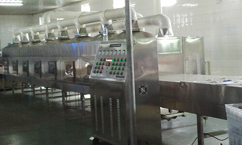Continuous conveyer-type microwave drying 
