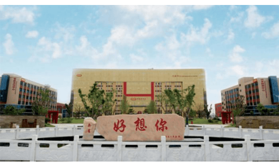 Haoxiangni dates industry Co., Ltd